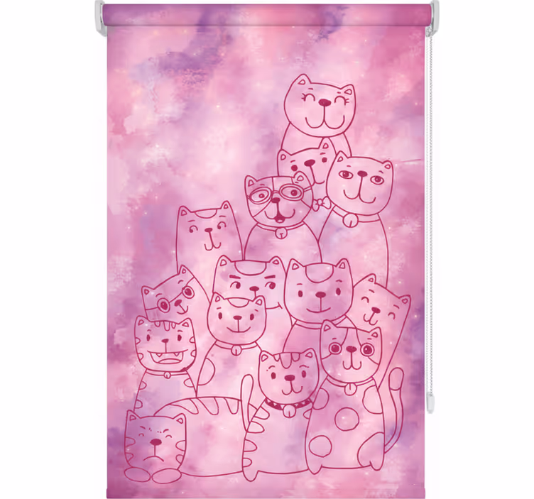 Teenage bedroom roller blind galaxy meow - TenStickers
