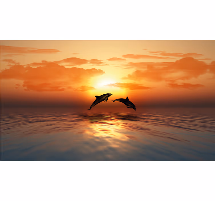 3d swimming dolphins bathroom roller blind - TenStickers