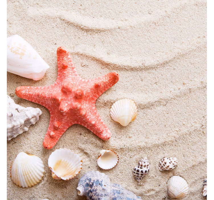 Bathroom roller blind with starfish and shells design - TenStickers