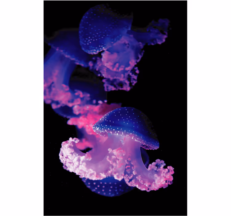 Bathroom roller blind purple jellyfish design - TenStickers