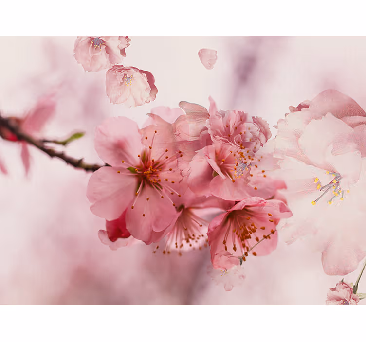 Bathroom roller blind bathroom flowers - TenStickers