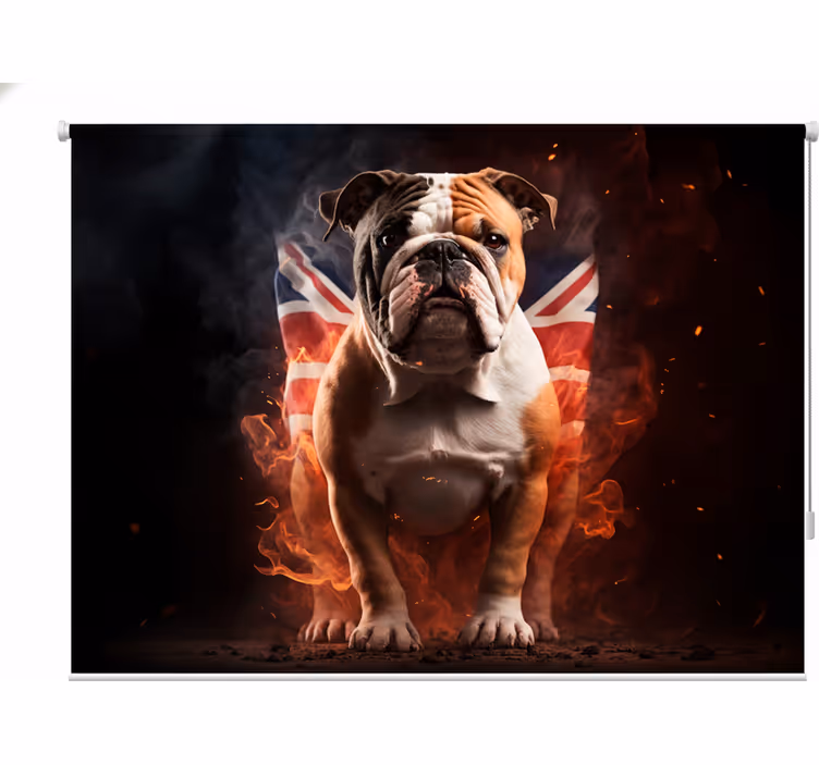 Teenage bedroom roller blind fiery bulldog design - TenStickers