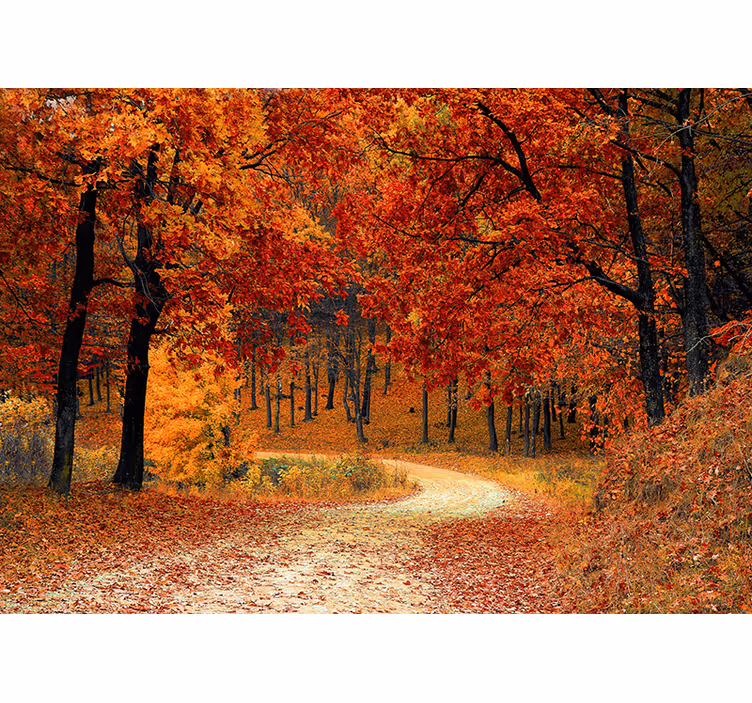 Orange roller blind with autumn tree design - TenStickers