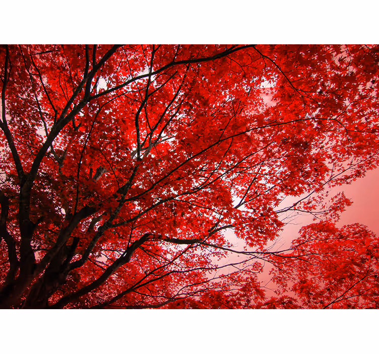 Red roller blind with red twigs design - TenStickers