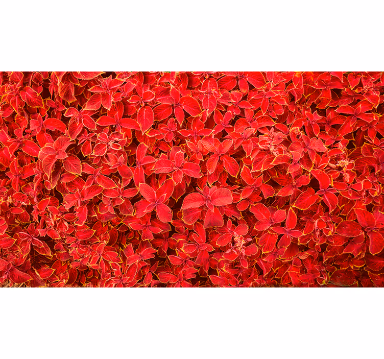 Red roller blind with floral petal pattern - TenStickers