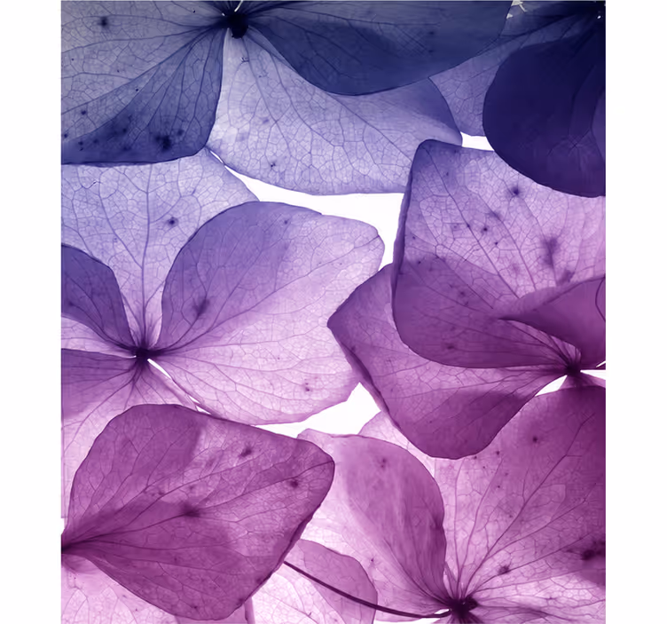 Purple roller blind in floral serenity design - TenStickers