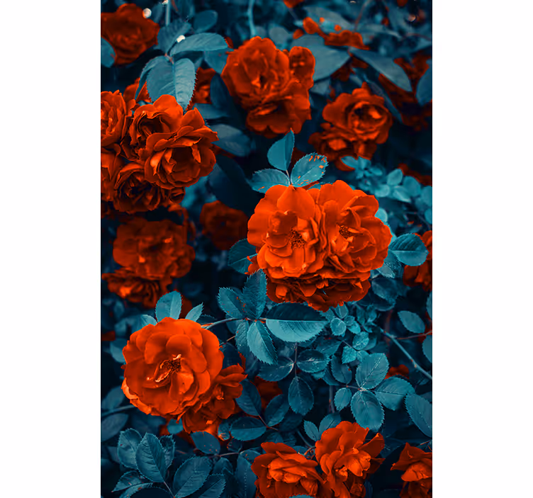 Vibrant Blooming Roses flowers and plants roller blind - TenStickers