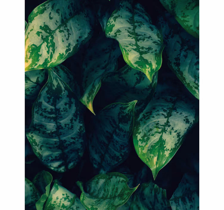 Vibrant green leaves flowers and plants roller blind - TenStickers