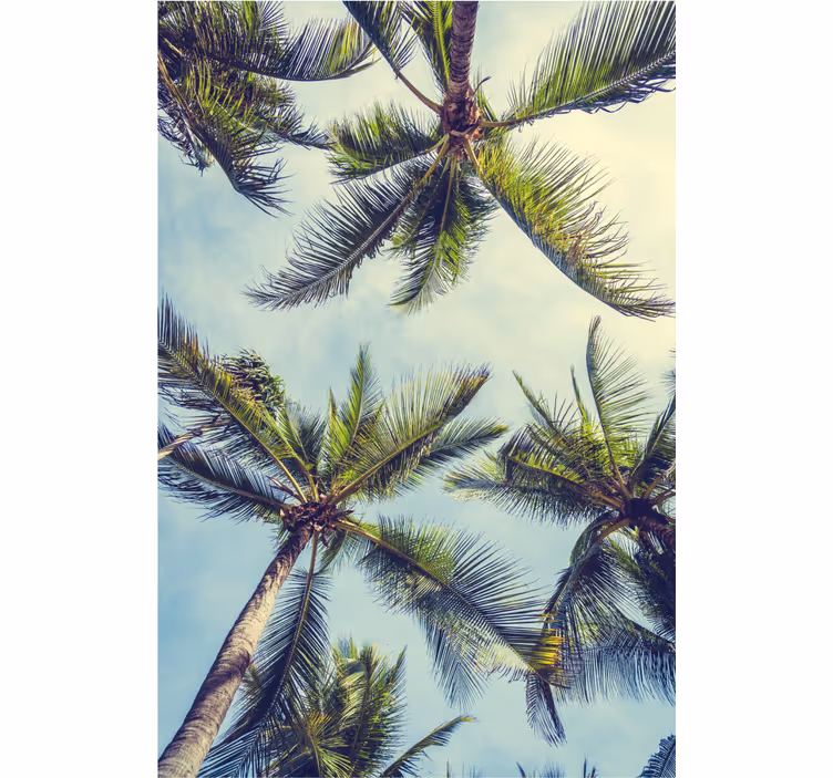 Palm trees from the bottom Master bedroom blind - TenStickers