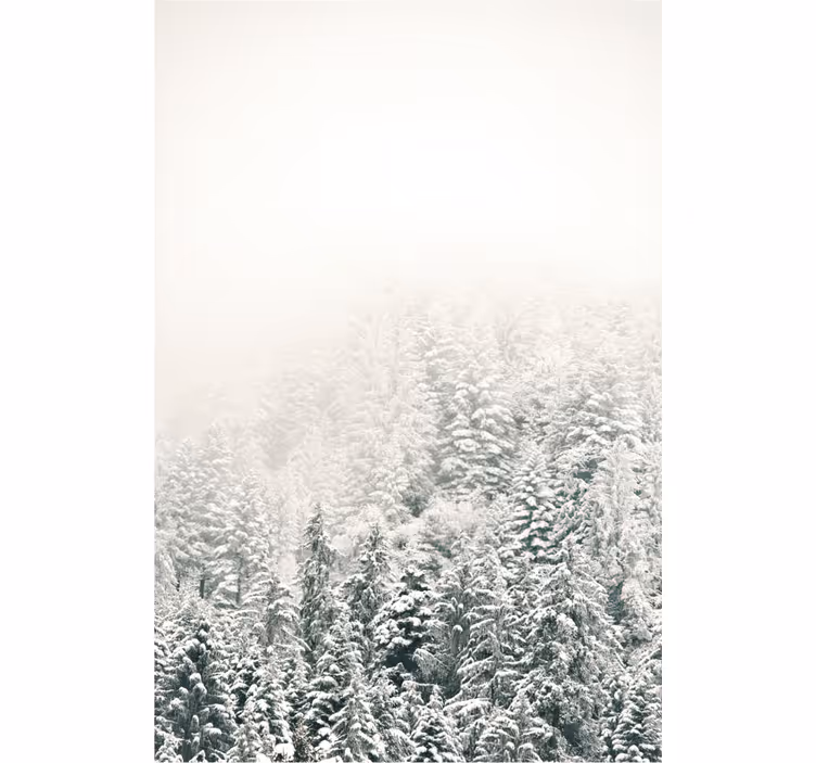 Trees covered in snow Master bedroom blind - TenStickers