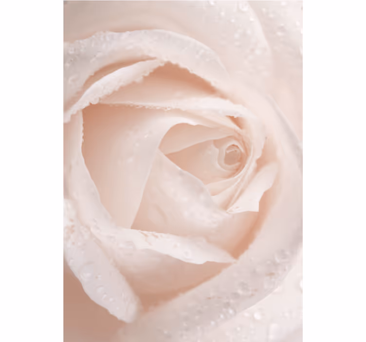 Delicate Rose Petal flower roller blind - TenStickers
