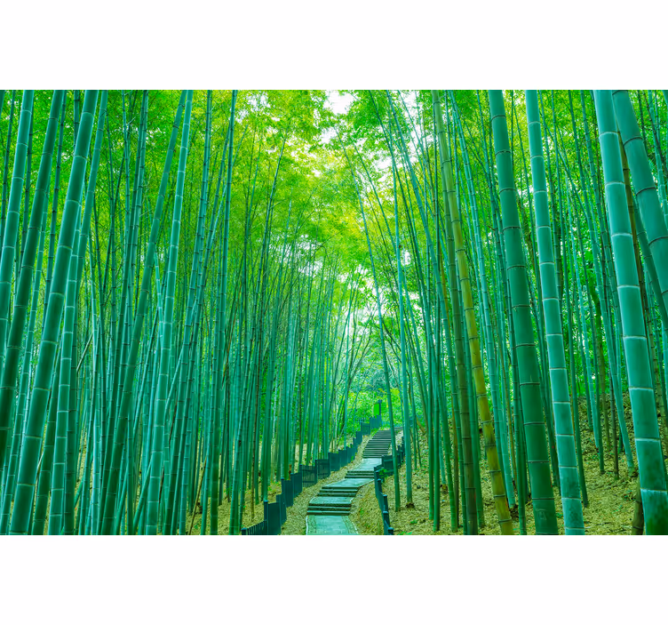 Light bamboo path Living room blind - TenStickers