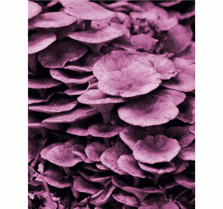 Vibrant Floral Layers flowers and plants roller blind - TenStickers