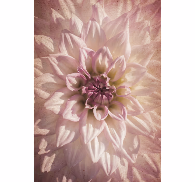 Delicate bloom flowers and plants roller blind - TenStickers