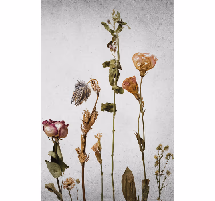 Dried Flower Arrangement flowers and plants roller blind - TenStickers