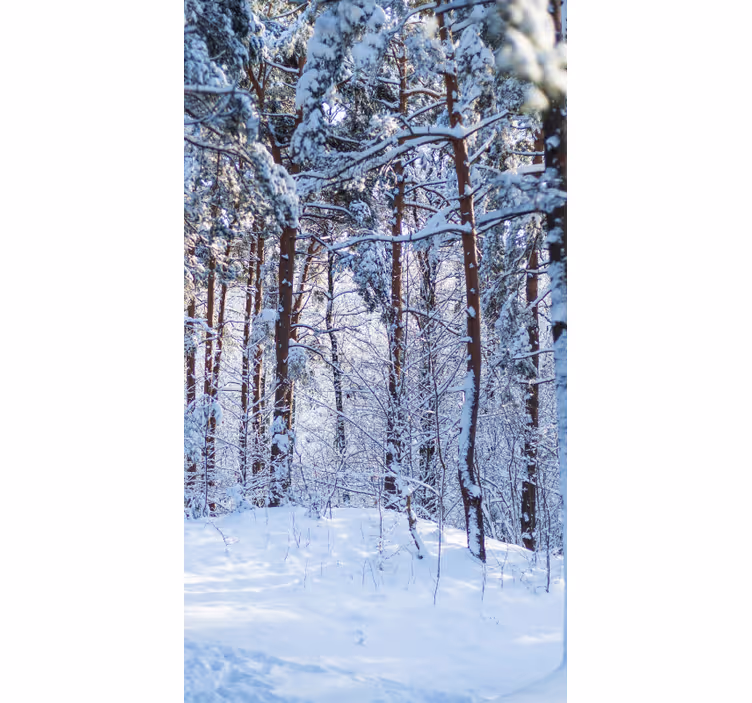 White forest with big trees roller blind - TenStickers