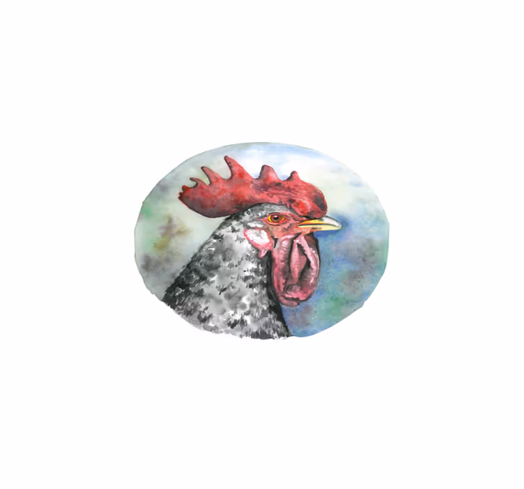 Original placemat colorful rooster portrait - TenStickers