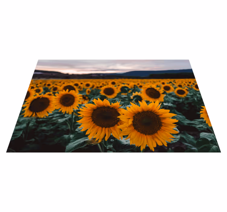Original placemat sunflower field view - TenStickers