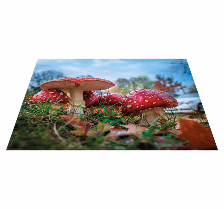 Red fly mushroom modern placemats - TenStickers