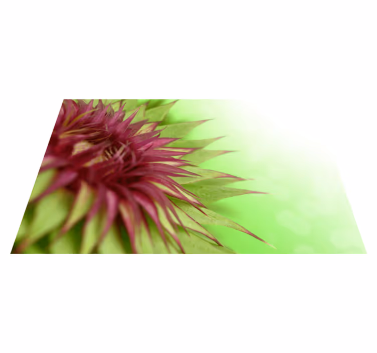 Thistle flowering plant placemat - TenStickers