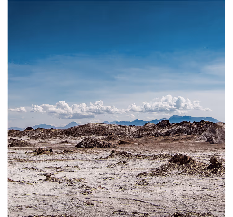 Desert mural in earthy tones and warm hues - TenStickers