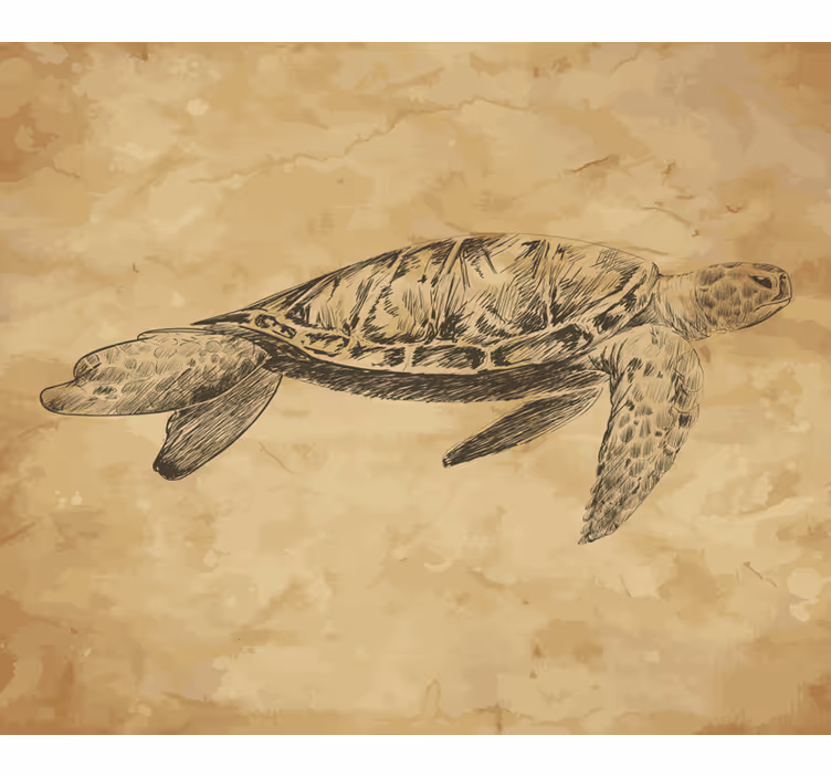 Beige wall mural turtle illustration - TenStickers