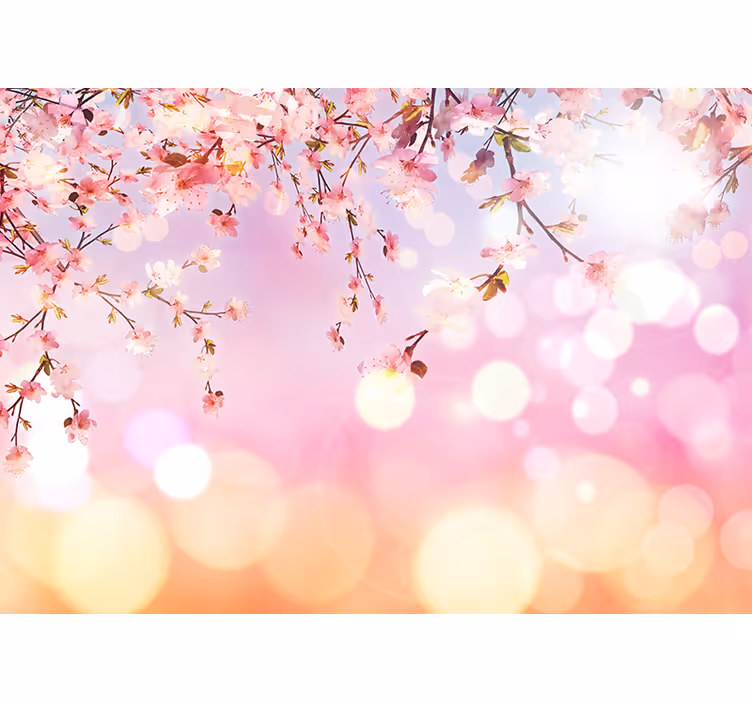 Pink wall mural cherry blossom 3d design - TenStickers