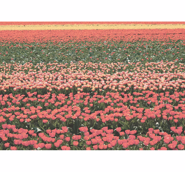 Hallway mural of unique flower fields - TenStickers