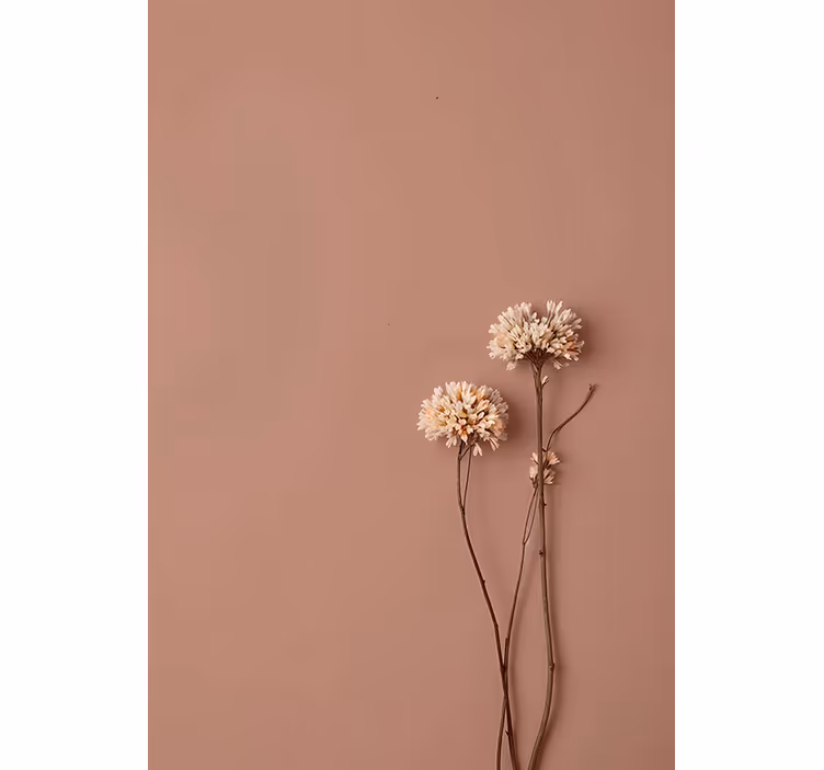 Entrance wall mural dried flowers design - TenStickers