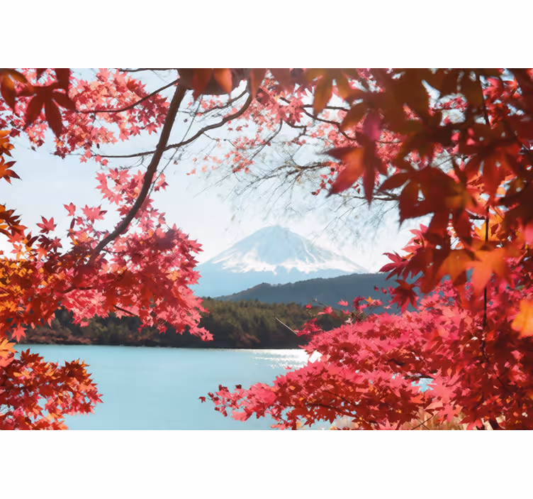 Entrance wall mural red leaves in the forest - TenStickers
