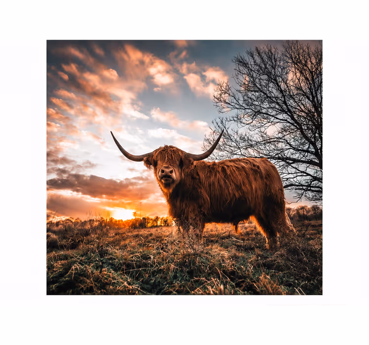 Nature wall mural with majestic animal design - TenStickers