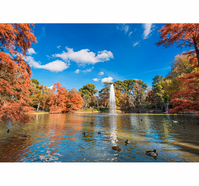 Retiro Park in autumn City wall mural - TenStickers