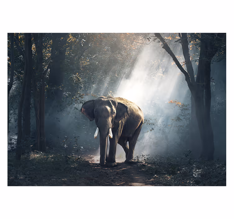 Elephant in forest wall mural - TenStickers