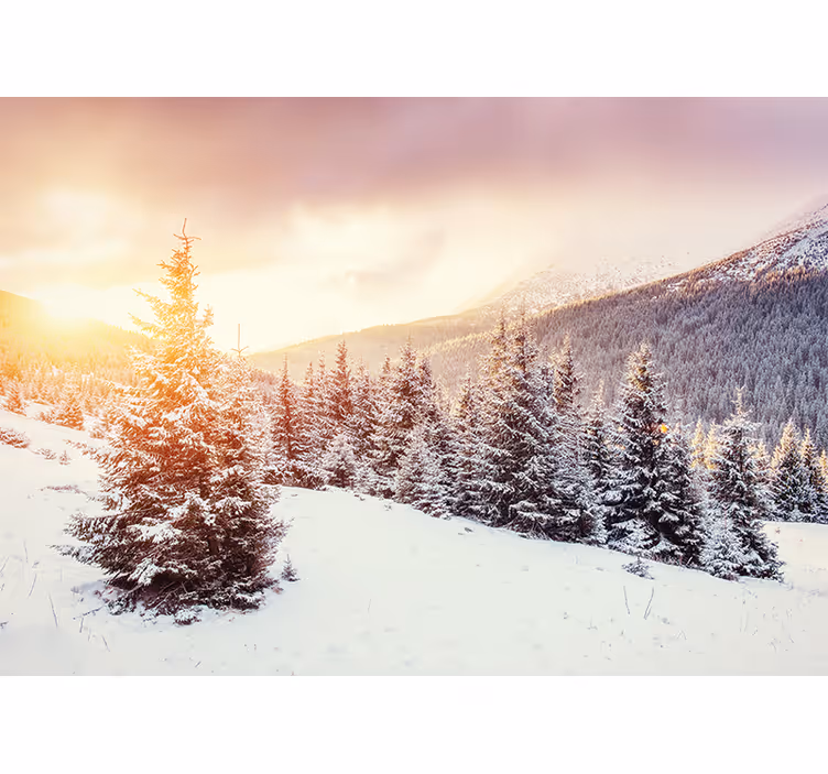 Snowy Mountain Mountain wall mural - TenStickers