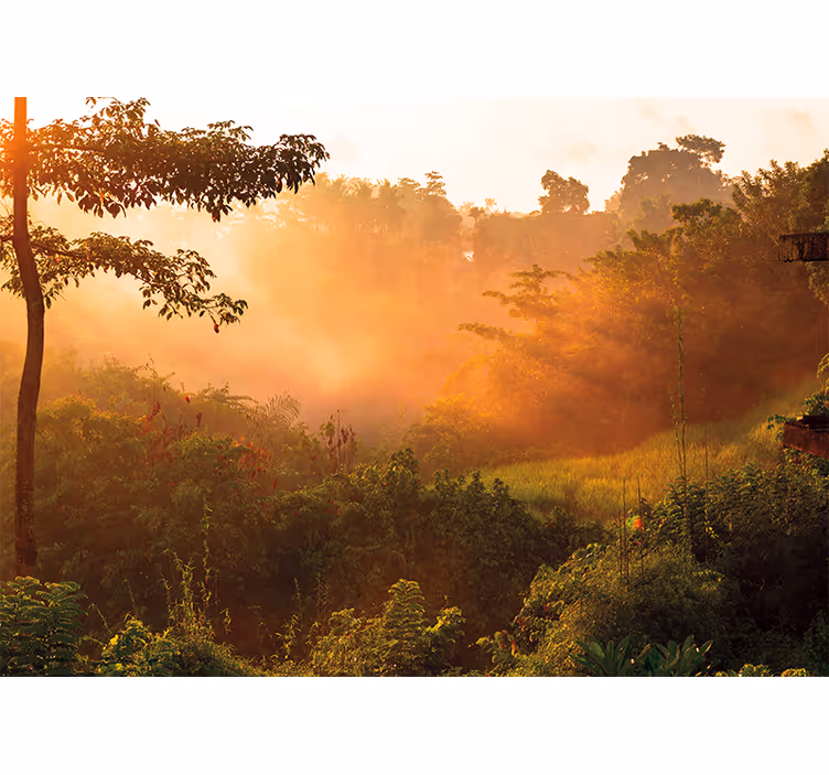 Nature wall mural tranquil forest landscape - TenStickers