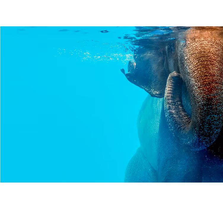 Majestic Underwater Elephant animal wall mural - TenStickers