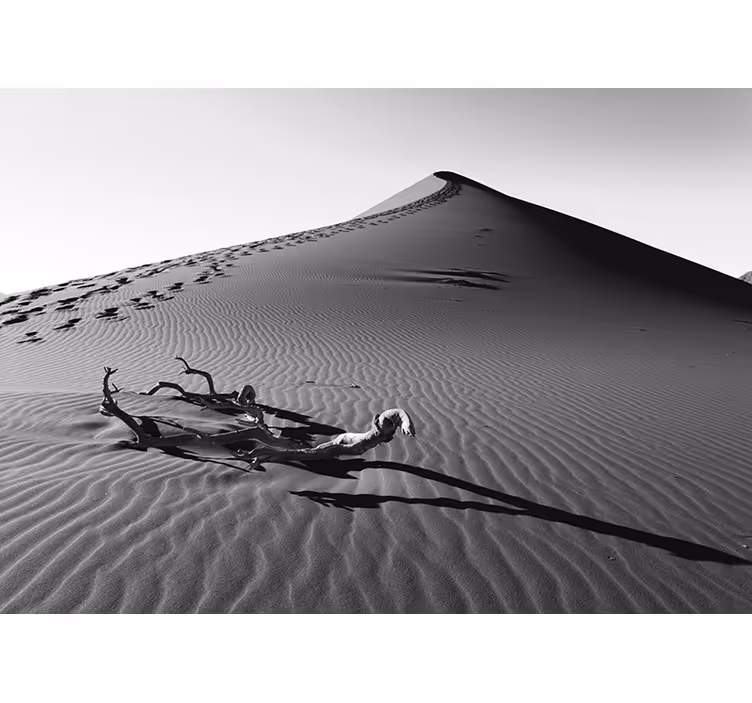 Footprints in Sand desert mural - TenStickers