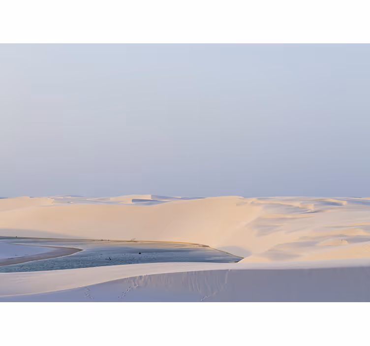 Brazilian desert Desert Wall Mural - TenStickers