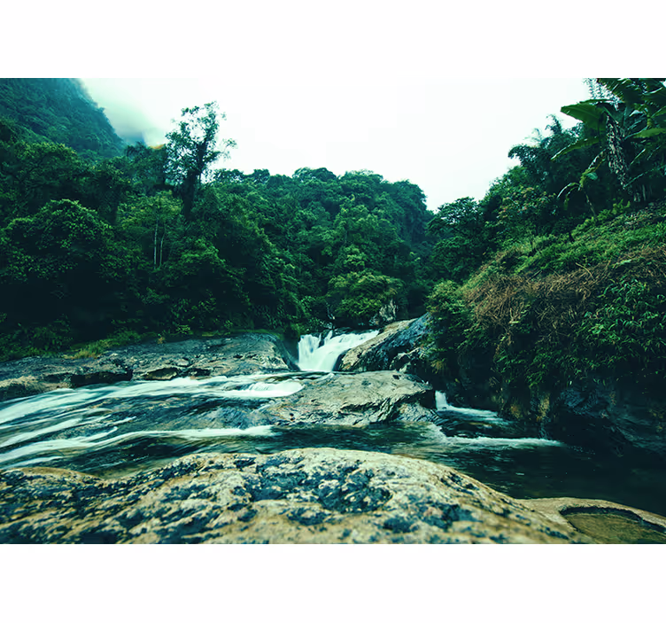 Serene Green Scene waterfall mural - TenStickers