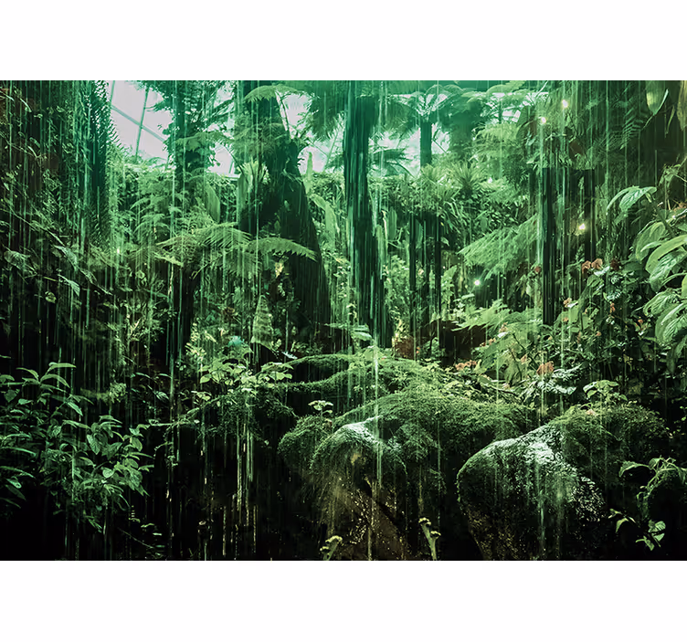 Jungle wall mural lush tropical canopy - TenStickers
