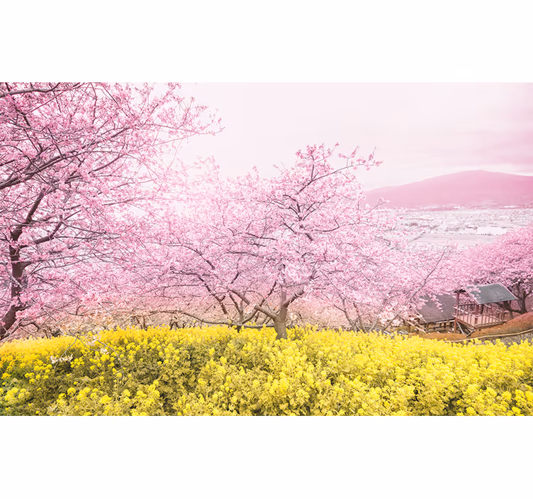 Cherry Blossom Tranquility flower mural - TenStickers