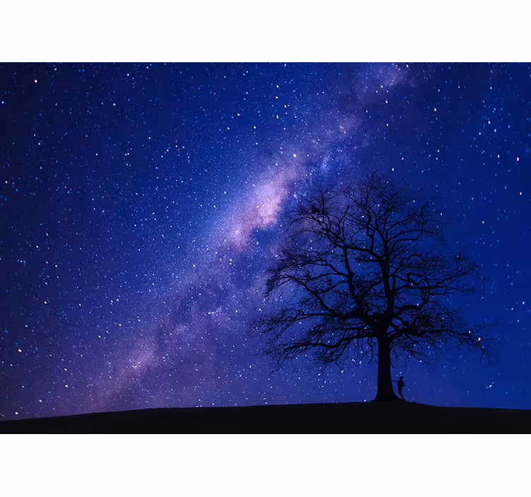 Tree at night 3D Wall Mural - TenStickers