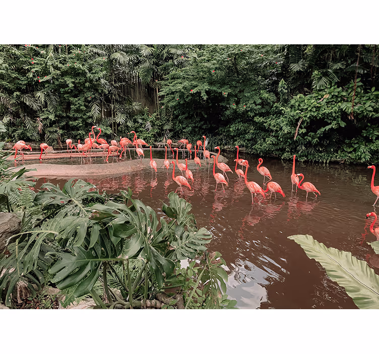 Flamingos by Water animal wall mural - TenStickers