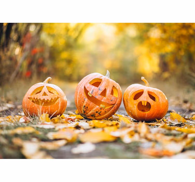 Carved Pumpkin Faces halloween mural - TenStickers