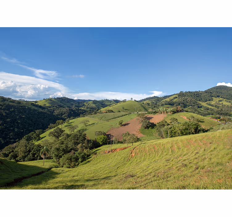 Verdant Rolling Hills landscape mural wallpaper - TenStickers