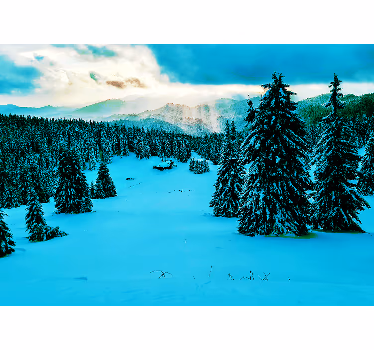 Snowy forest Forest Wall Mural - TenStickers