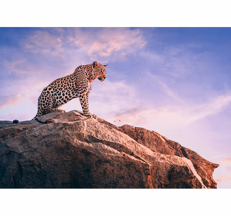 Leopard sunset wall mural - TenStickers