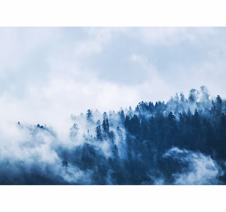 Blue foggy forest nature wall mural - TenStickers