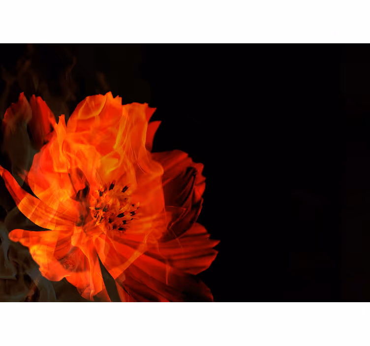 Fiery floral burst wall mural - TenStickers