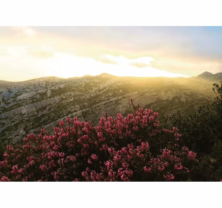 Nature wall mural blooming pink flowers - TenStickers